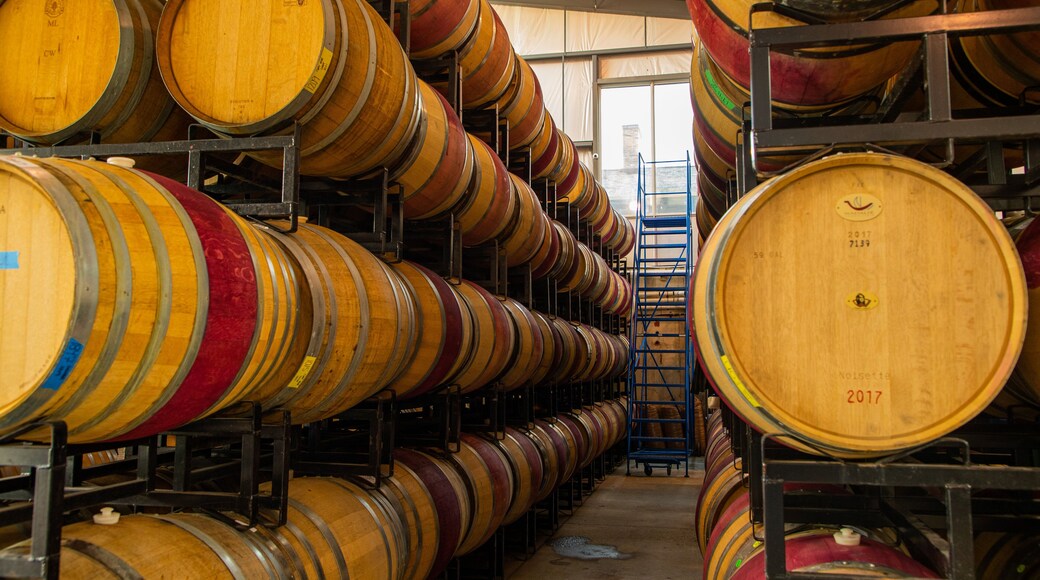 Ravine Vineyard Estate Winery which includes interior views