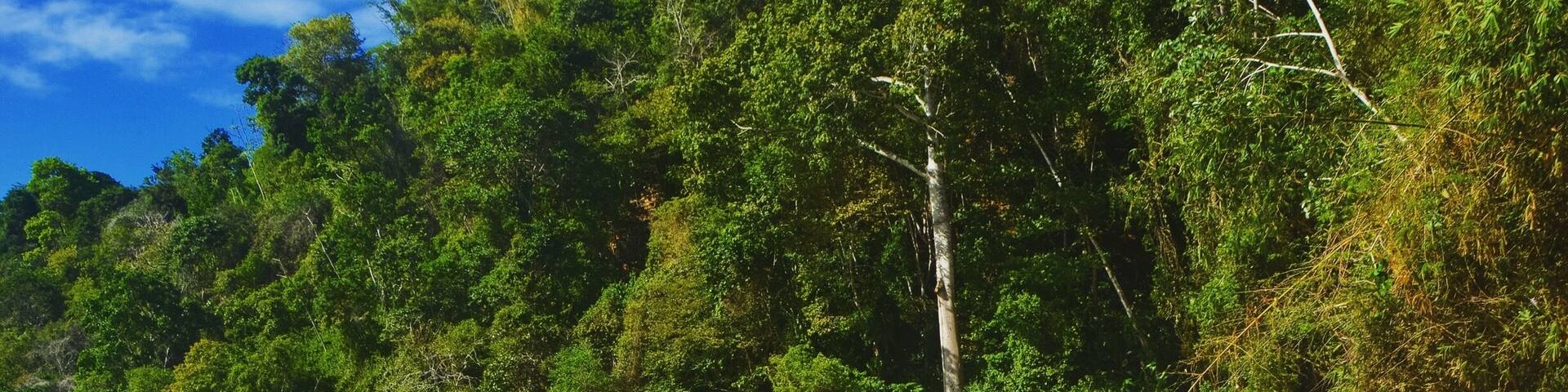 The usually calm bay was overrun by massive waves last
Friday but it still painted a beautiful picture.