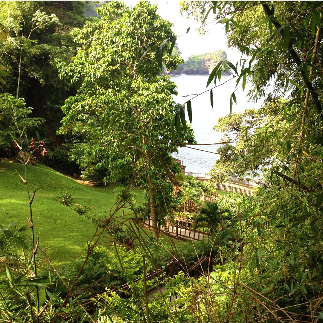 The tropical vegetation that beautifies its surroundings and the pathway that leads to the refreshing Caribbean sea. Amazing! This is Macqueripe bay in Trinidad and Tobago. http://www.travelwith2ofus.com/

#travel #TrinidadAndTobago #Caribbean #landscape #nature #Bay #Beach #Caribbeanlife #Island #green #Macqueripe 