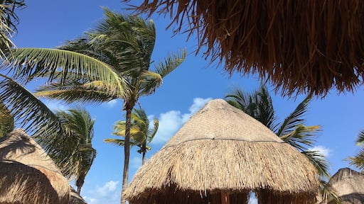 Beautiful beach in Playa Mujeres