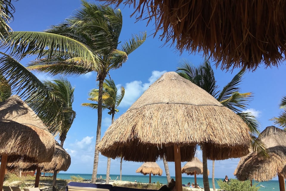 A beach with thatched umbrellas, palm trees, and lounge chairs.
