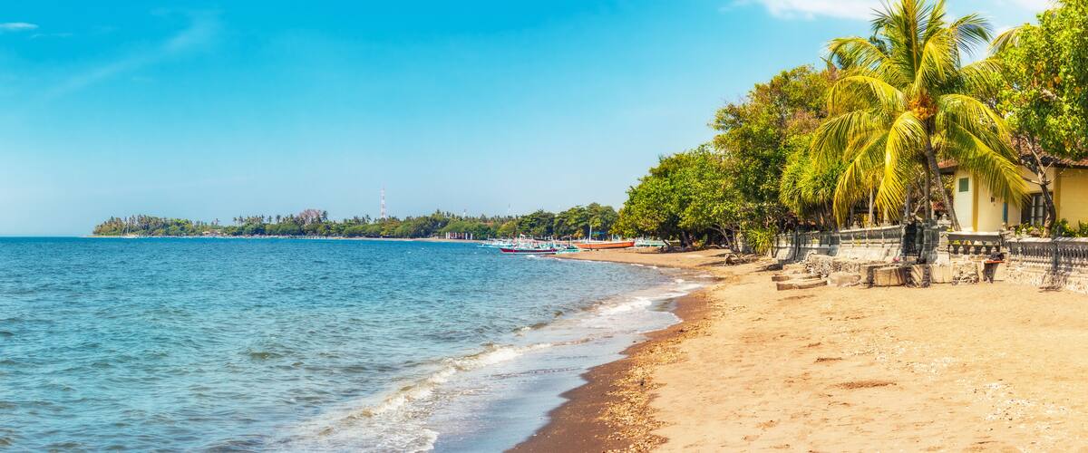 A beach with clear blue water, palm trees, and boats.