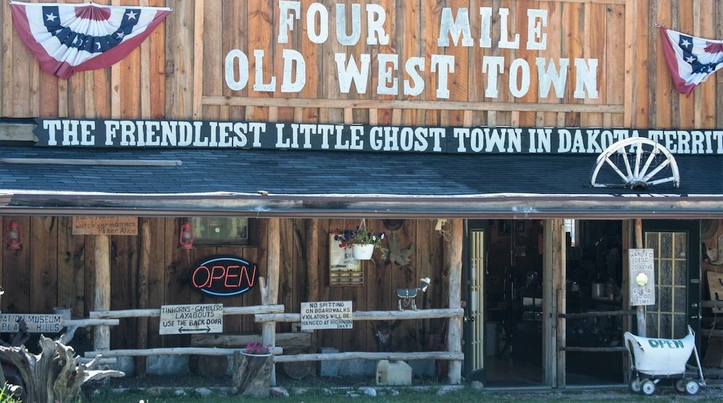 Four Mile is an unincorporated community in South Dakota, located four miles west of Custer at the junction of US 16 and Pleasant Valley Road. Named because of the distance from Custer on the original Sidney Black Hills Stage Road, Four Mile today is a small bedroom community for Custer, with a single tourist attraction, a log-cabin manufacturer, a small mobile home court, and several other residences.
