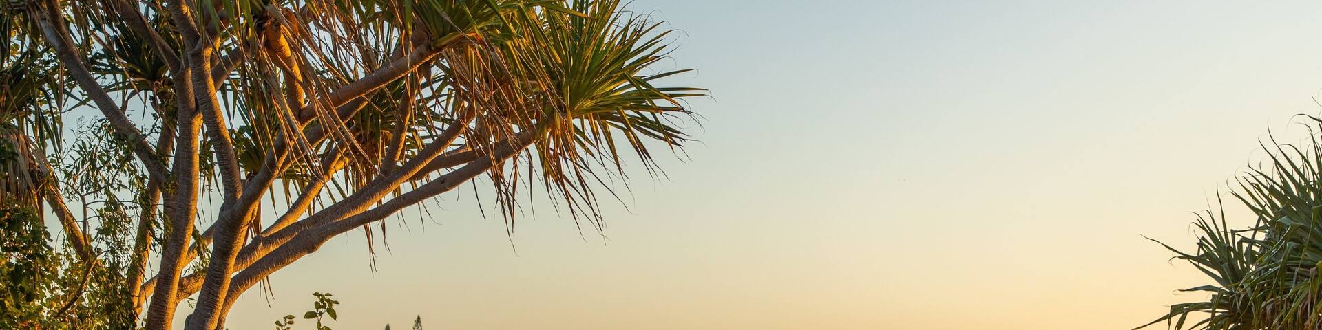 A waterfront with a bench, trees, and a marina in the background.