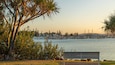 A waterfront with a bench, trees, and a marina in the background.