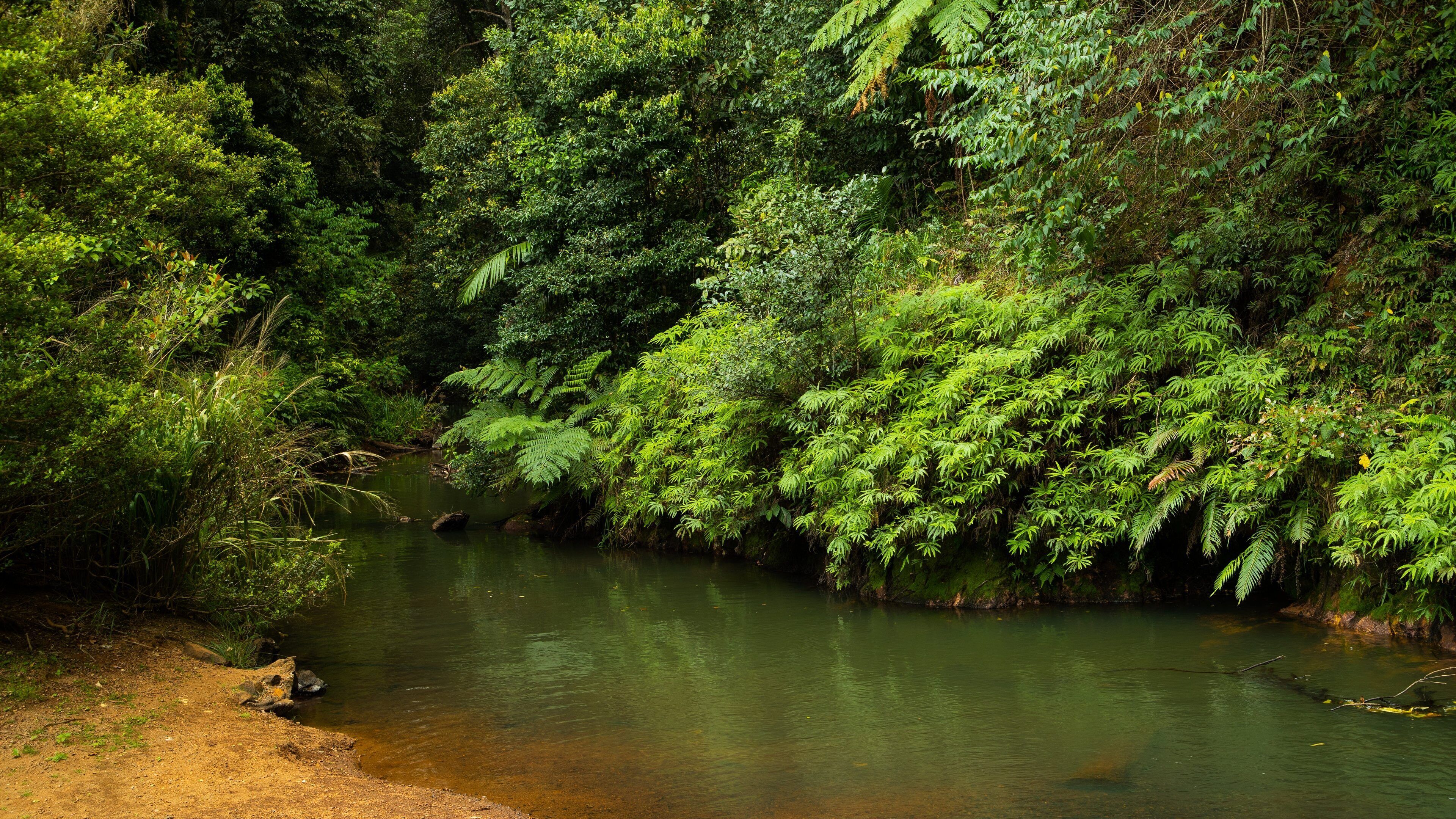 Malanda Falls showing a river or creek