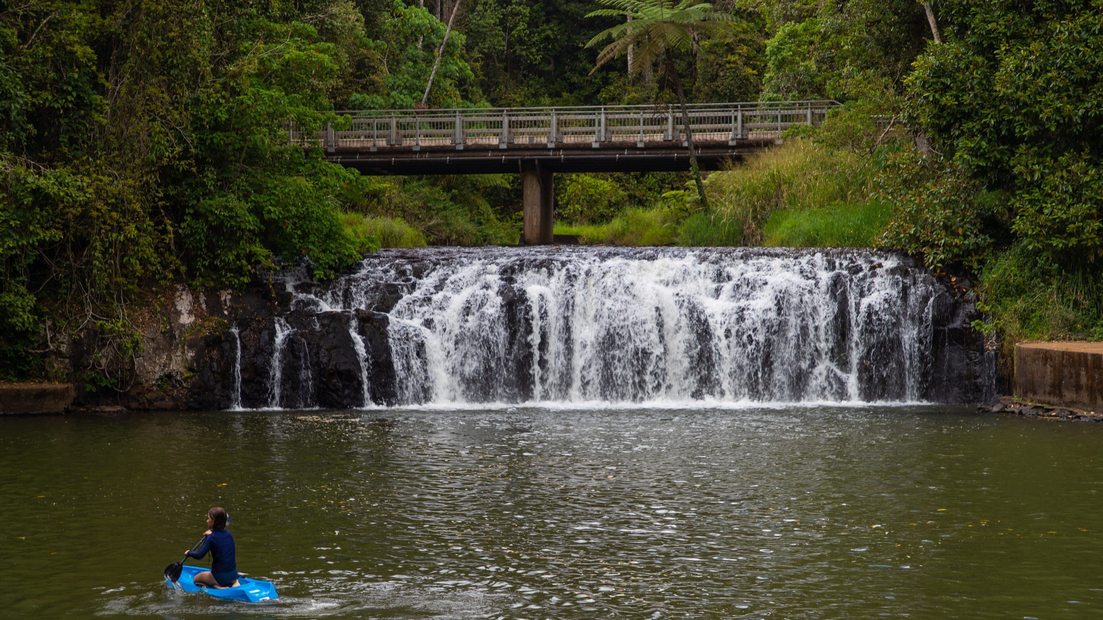 Malanda Falls showing a cascade, kayaking or canoeing and a river or creek