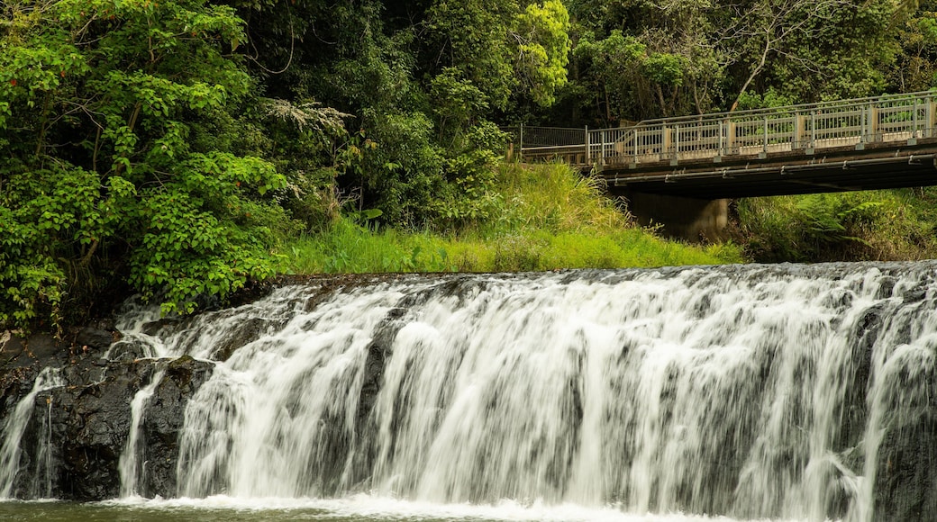 Malanda Falls which includes a river or creek