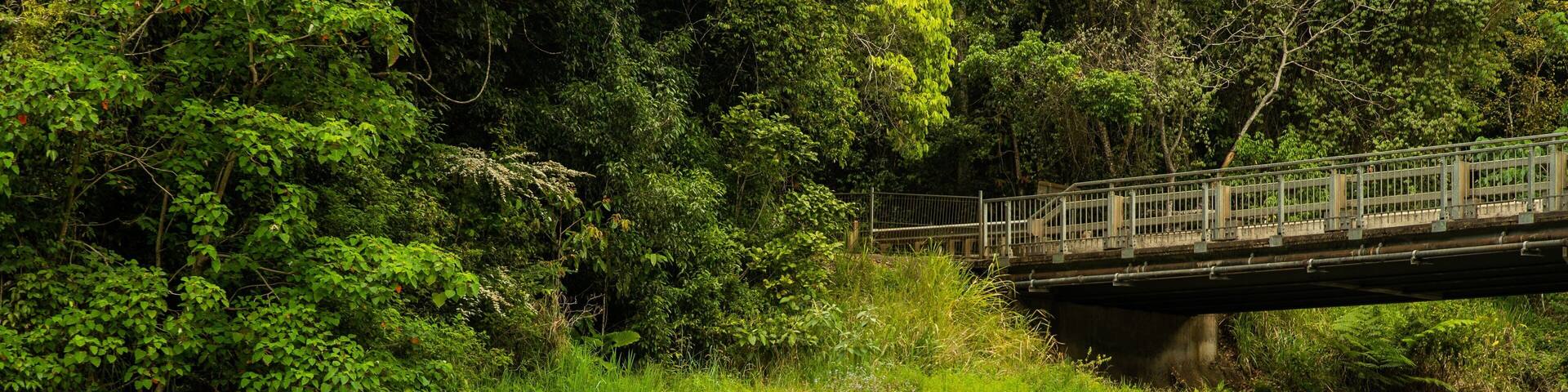 Malanda Falls which includes a river or creek