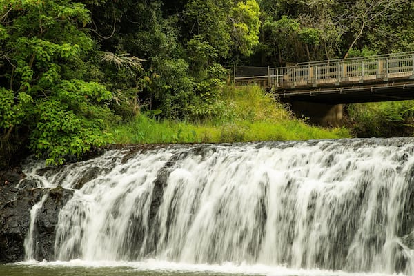 Malanda Falls which includes a river or creek