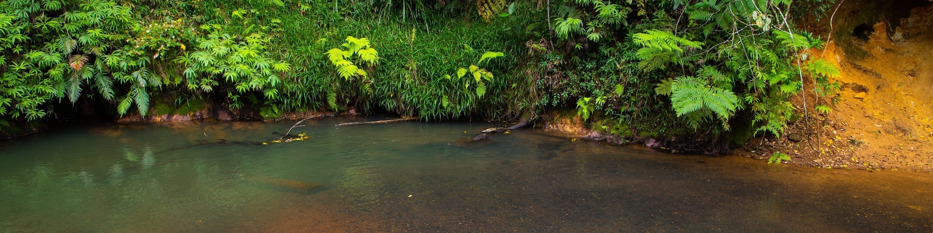 Malanda Falls showing a pond