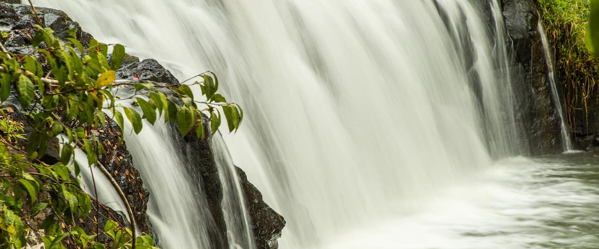 Malanda Falls featuring a river or creek and a waterfall