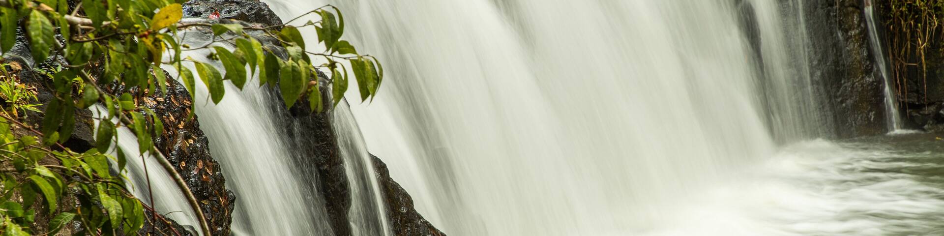 Malanda Falls featuring a river or creek and a waterfall