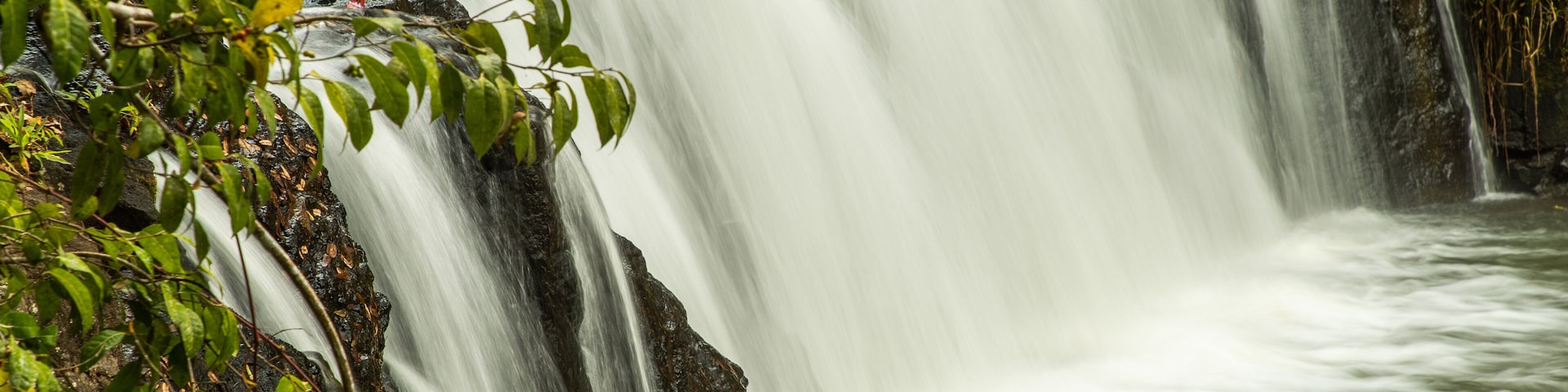 Malanda Falls featuring a river or creek and a waterfall
