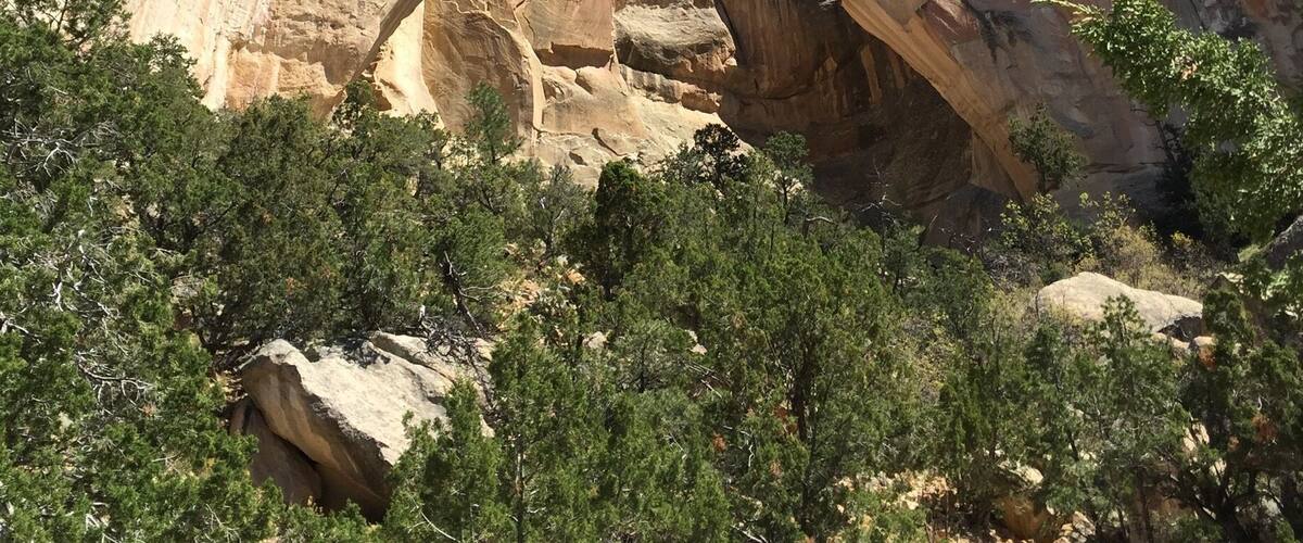 Located near Acoma Pueblo, La Ventana (the window) Arch is Jen of the largest natural arches found in New Mexico. This is as close as the .5 mile path allows you to get to it.