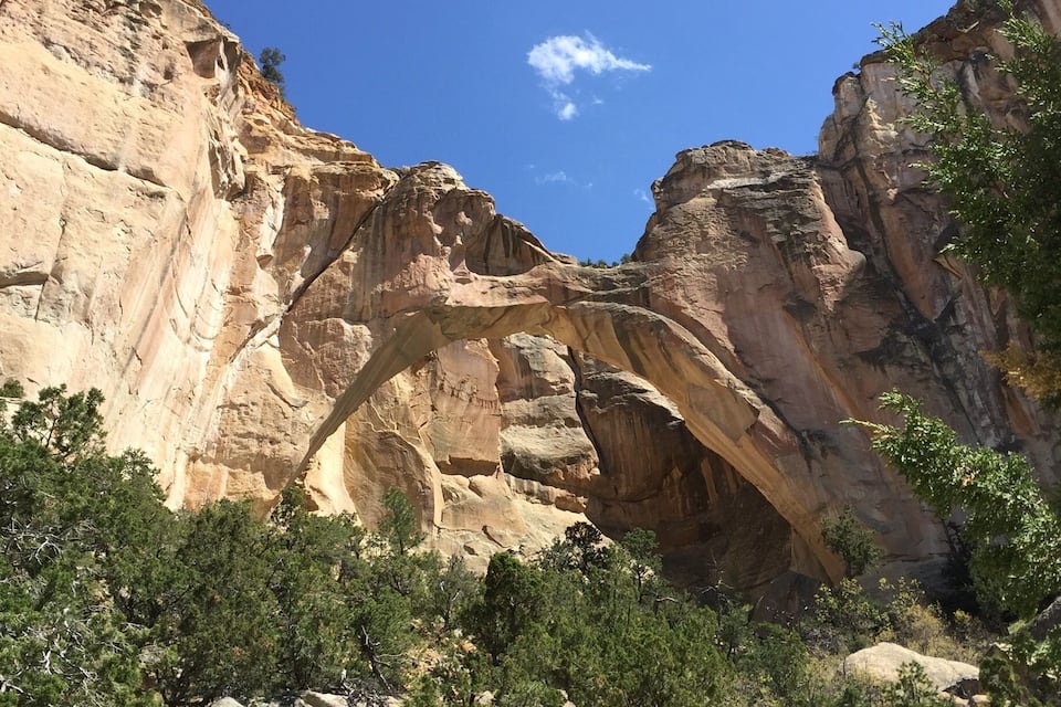 A canyon with layered rock formations and sparse vegetation.