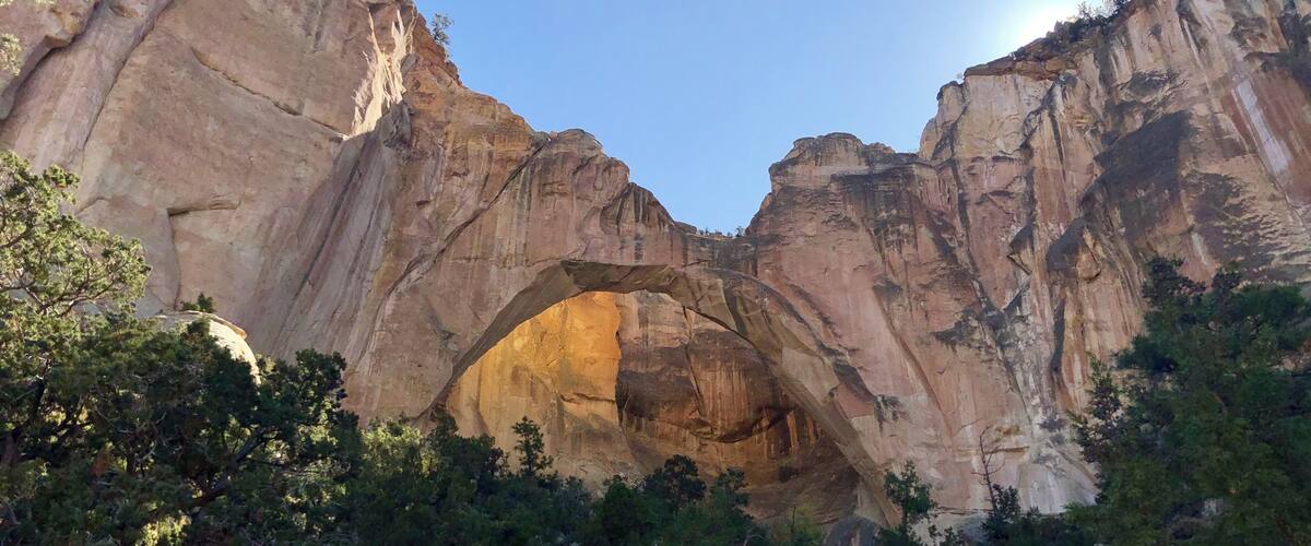 A natural rock arch formation surrounded by dense forest.