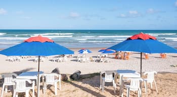 อิปิตังกา