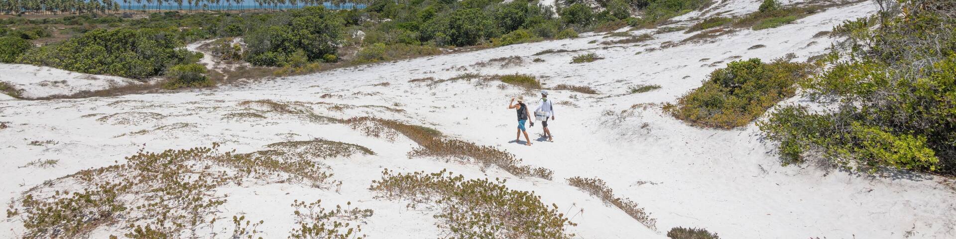 Salvador_DiogoDunes_553248621557915391_11