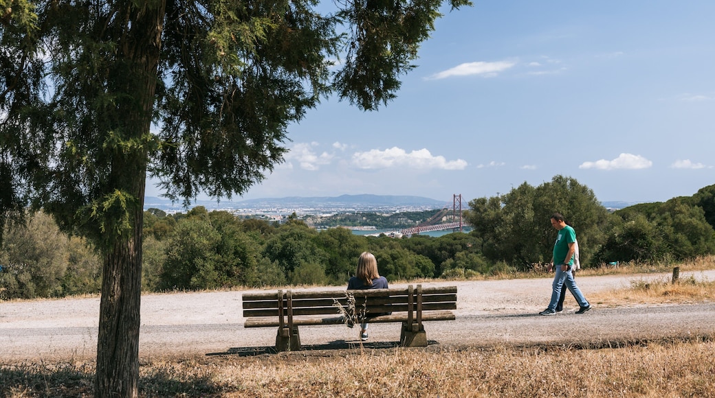 Monsanto Forest Park which includes a garden as well as an individual femail