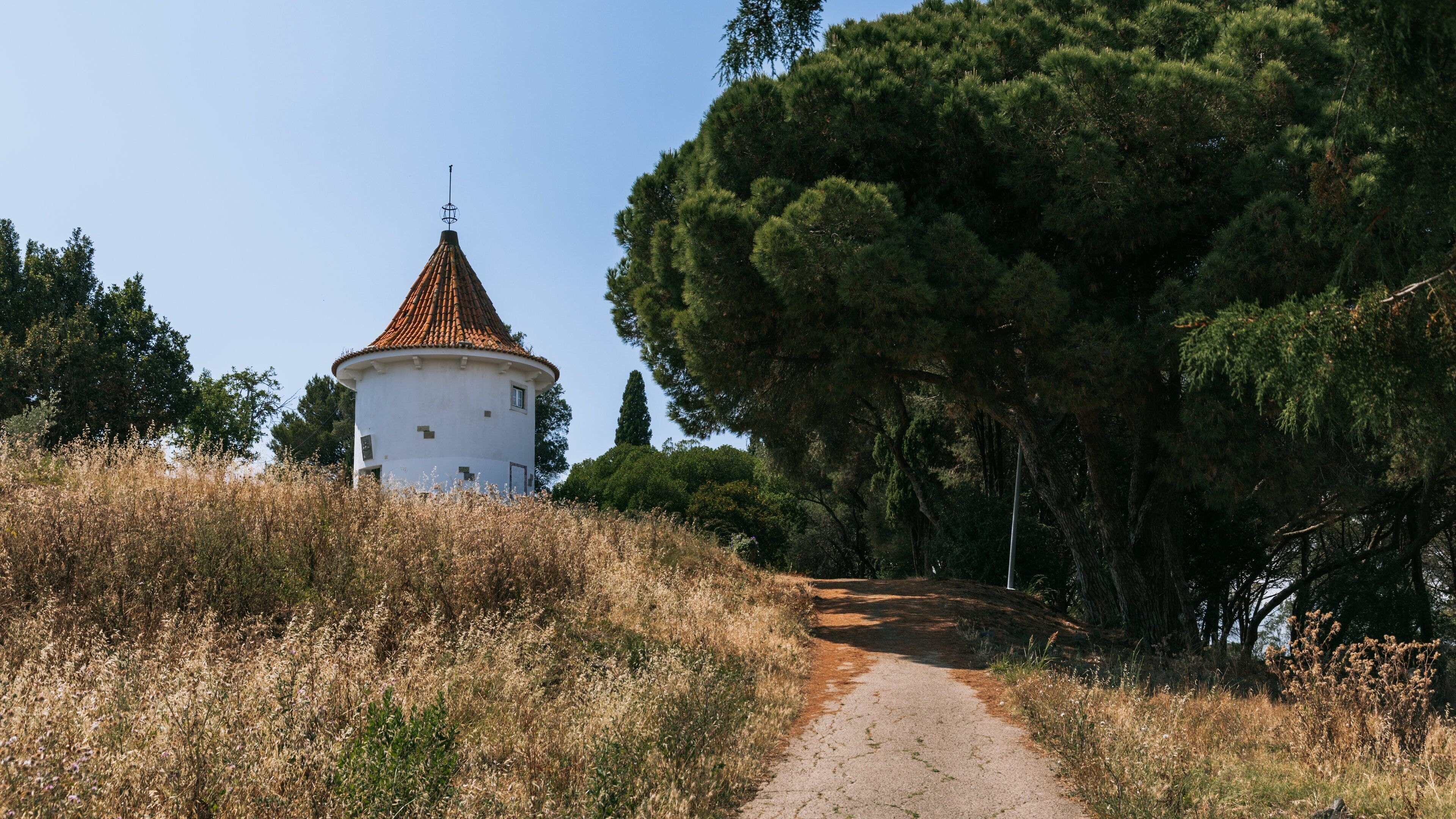Monsanto Forest Park showing a park and wildflowers