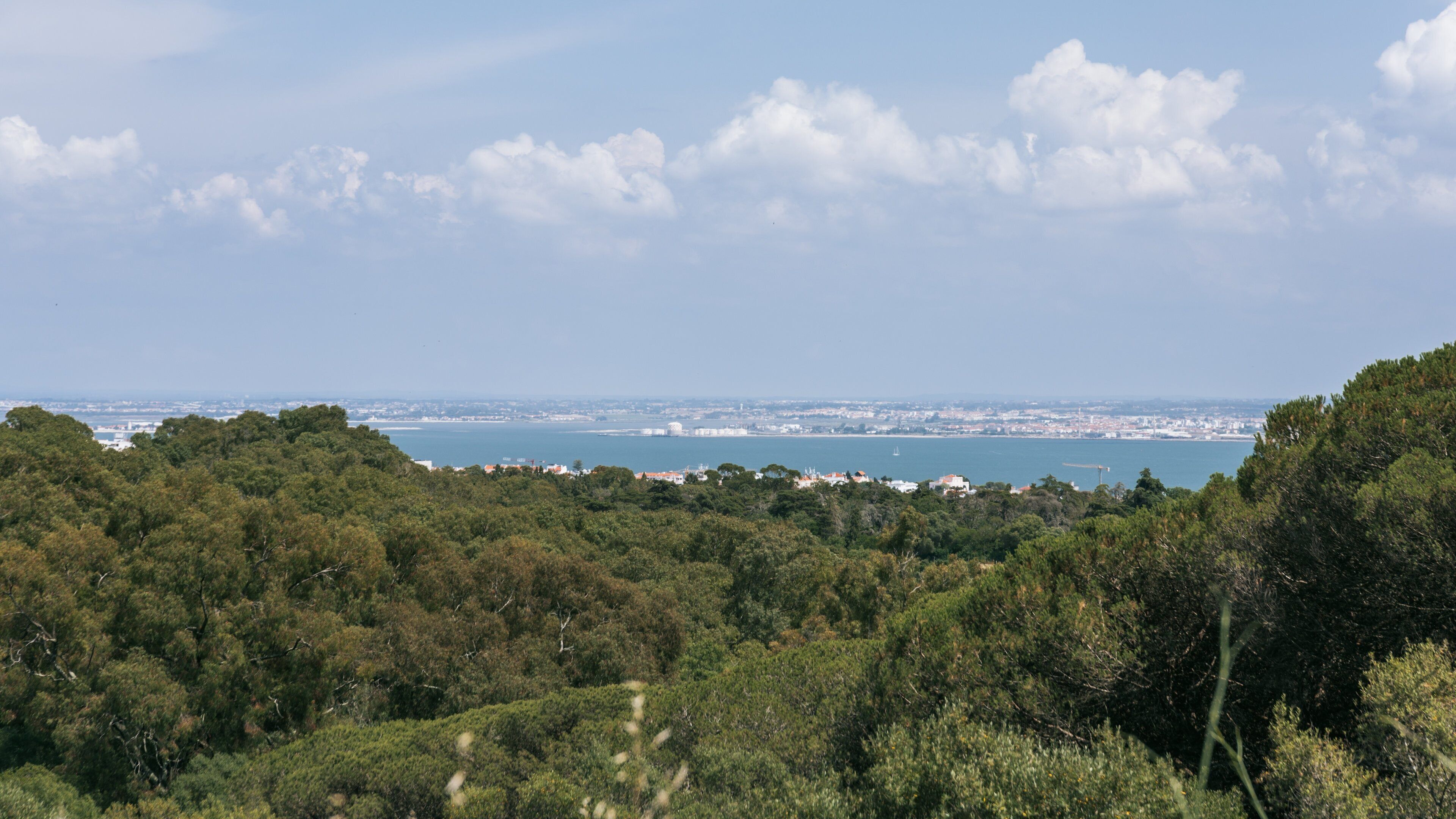 Monsanto Forest Park featuring a river or creek and landscape views