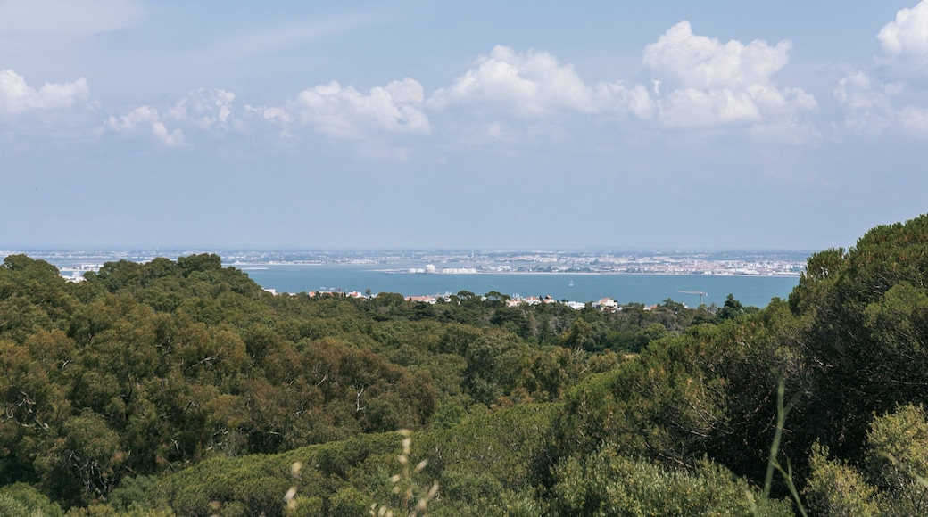 Monsanto Forest Park featuring a river or creek and landscape views