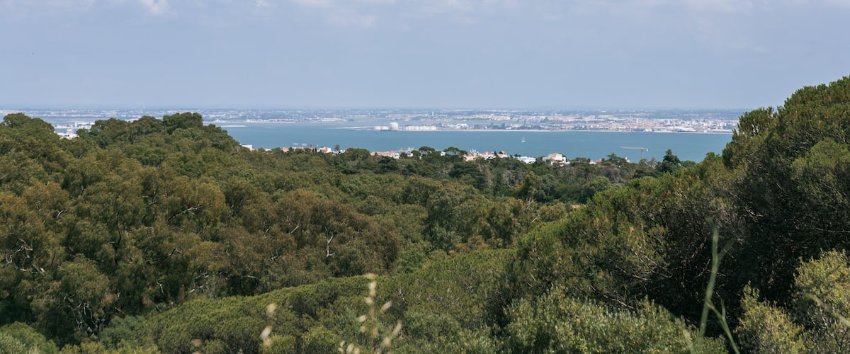 Monsanto Forest Park featuring a river or creek and landscape views