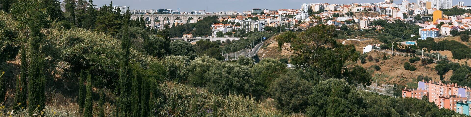 Monsanto Forest Park showing landscape views and a small town or village