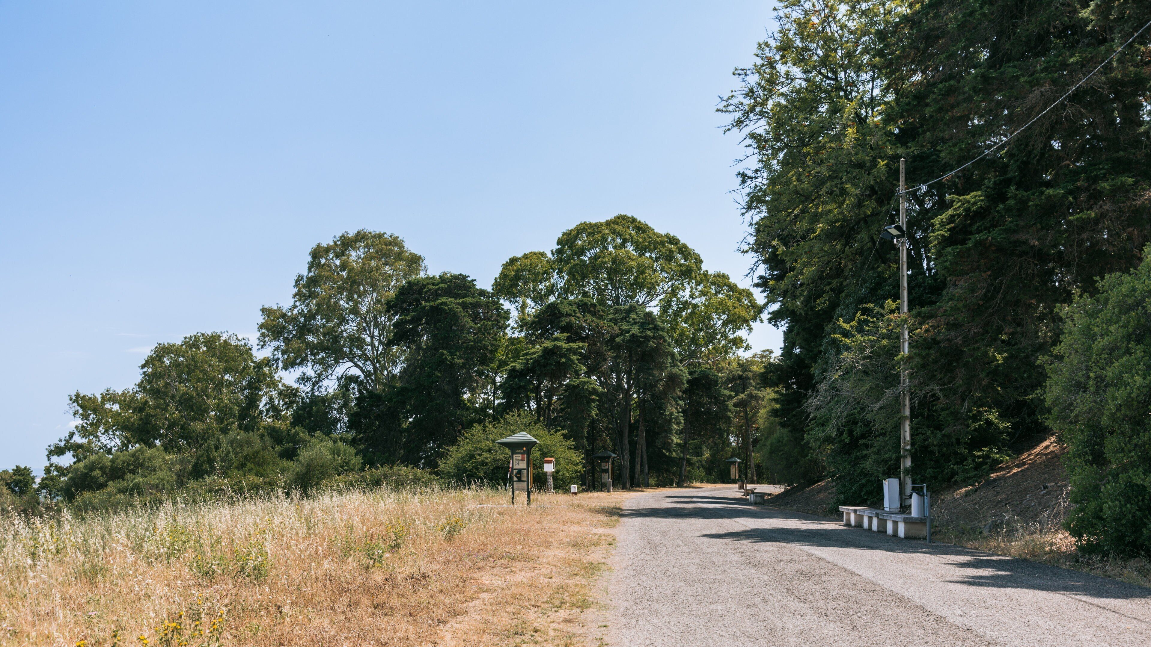 Monsanto Forest Park which includes tranquil scenes