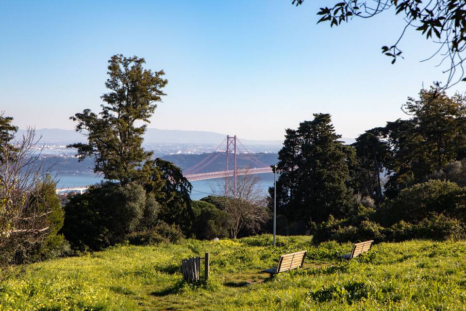 A grassy field with two benches, a red bridge in the background, and trees.