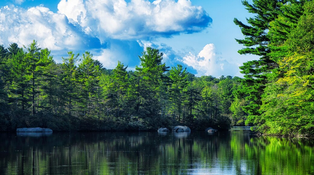 Burr Pond State Park Summer landscape