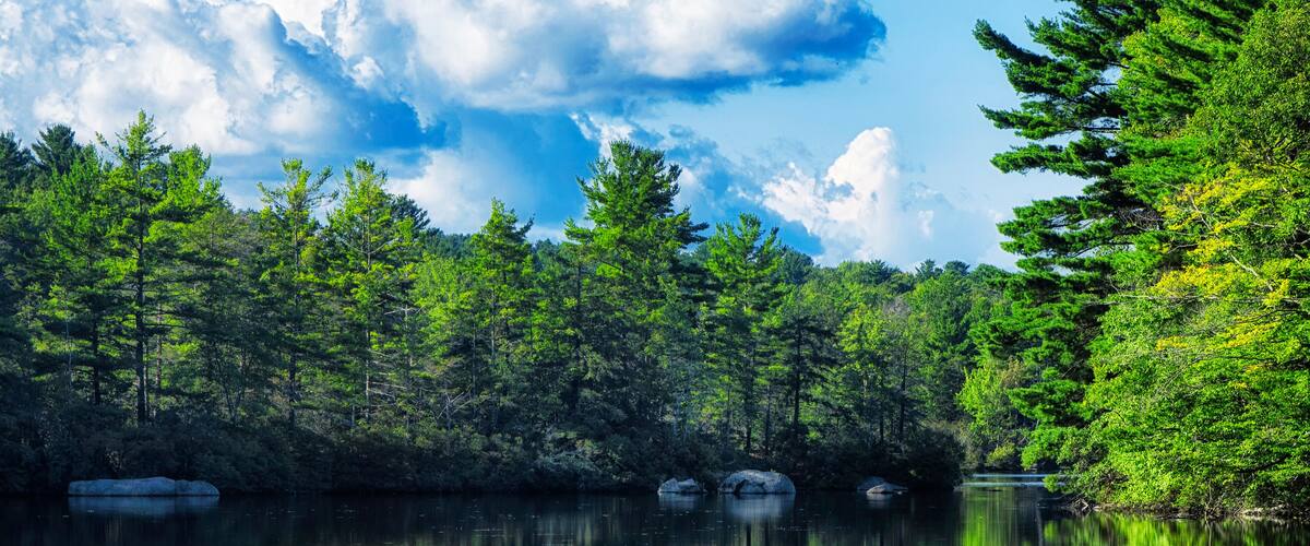 Burr Pond State Park Summer landscape
