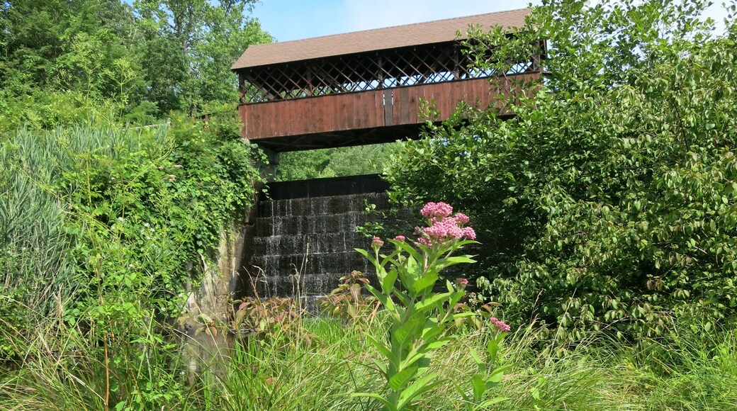Covered bridge and waterfall