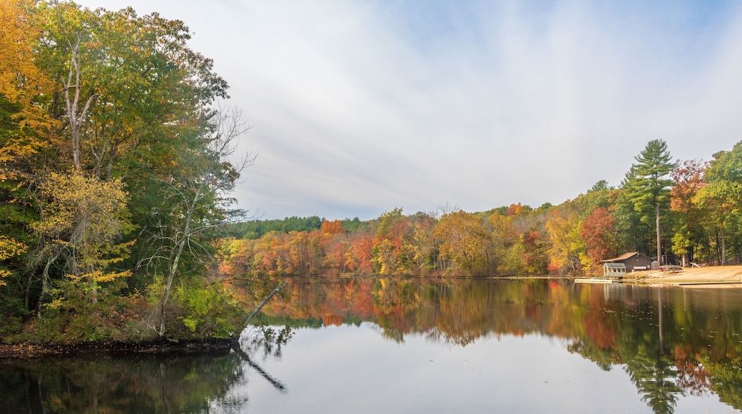 Autumn day on the lake