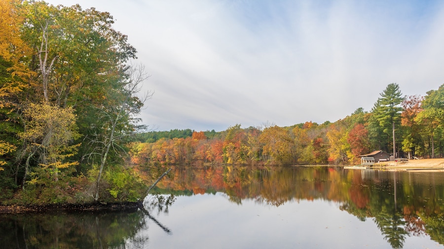 Parque natural de Windsor