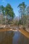 A Muddy, Slow Moving Stream in Bottomland Forest