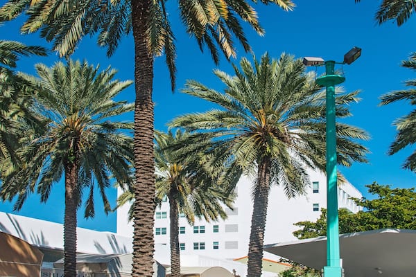 Lincoln Road Mall is a pedestrian road between 16th Street and 17th Street which hosts mall replete with shops, restaurants, galleries. Miami Beach, Florida, USA, 2019