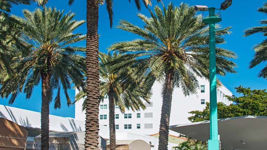 Lincoln Road Mall is a pedestrian road between 16th Street and 17th Street which hosts mall replete with shops, restaurants, galleries. Miami Beach, Florida, USA, 2019