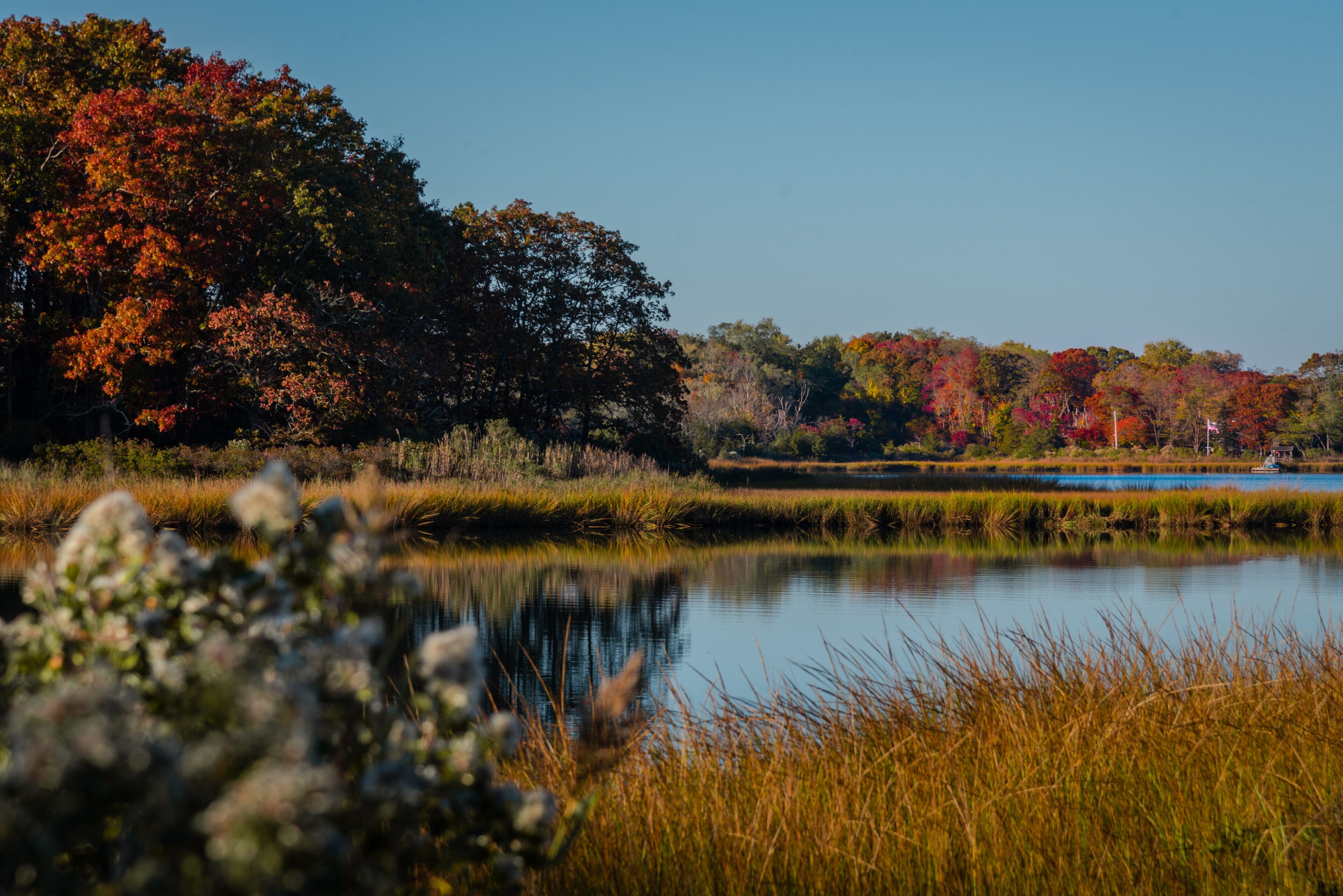 Autumn in the park of Indian Island county park, Riverhead, New York