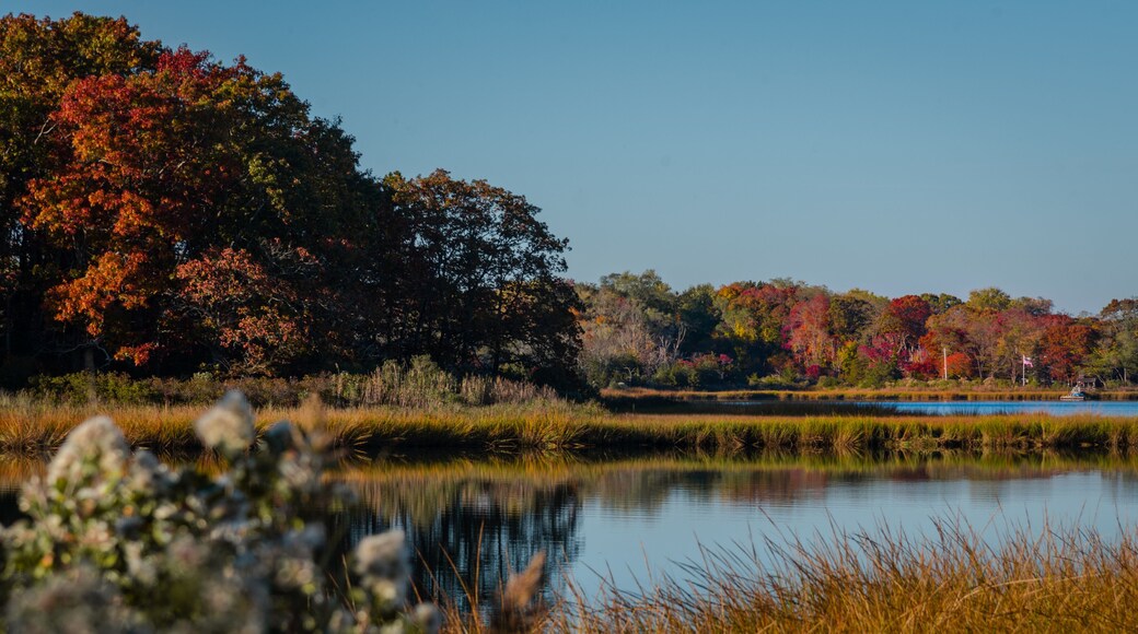 Indian Island County Park