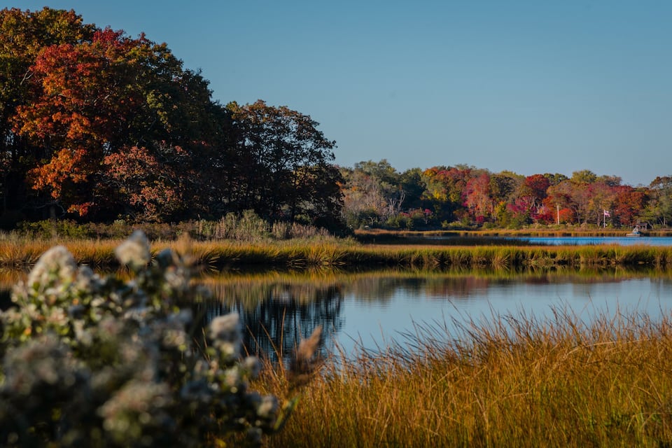 Un lac paisible, bordé d’arbres aux couleurs automnales et de prairies verdoyantes.