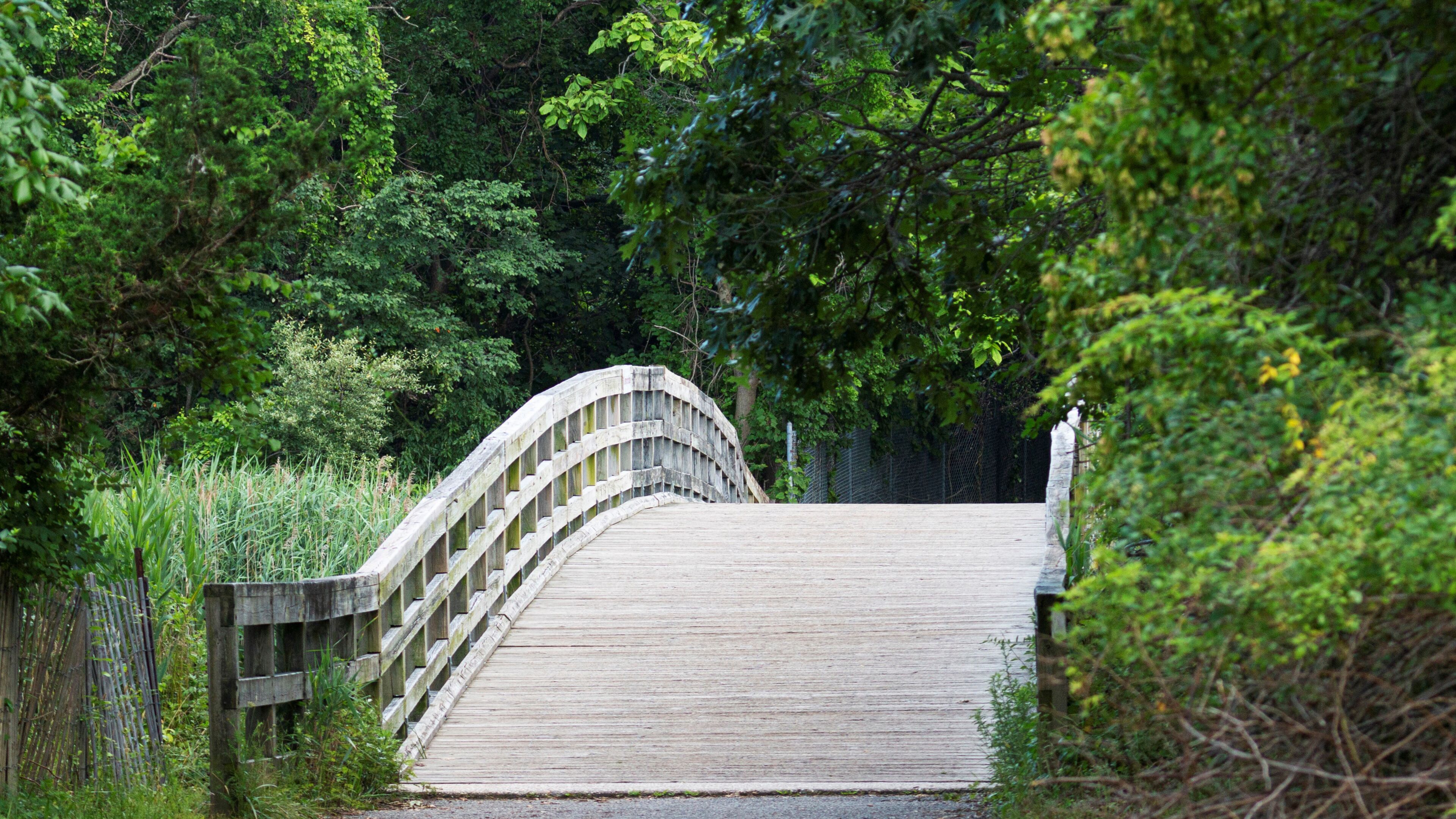 Wooden bridge at Sunken Meadow State Park surrounded by green trees