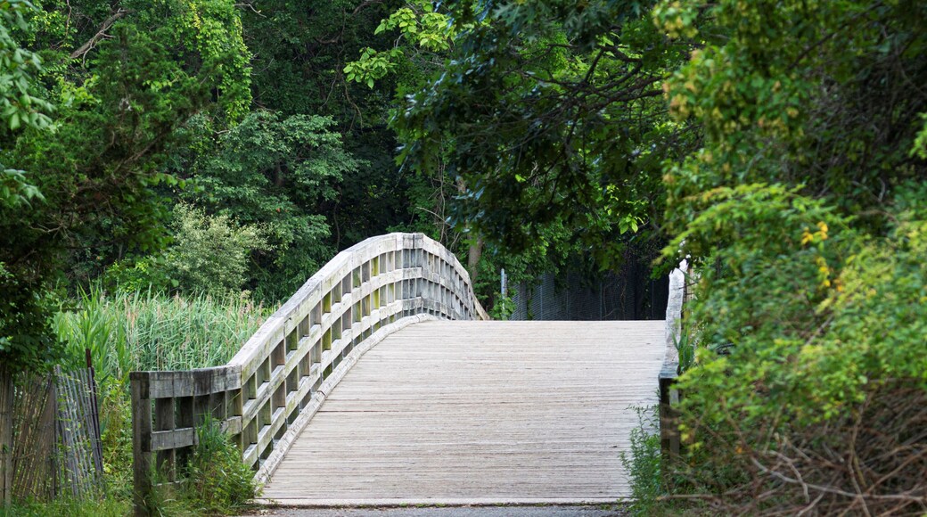 グリーン・パーク