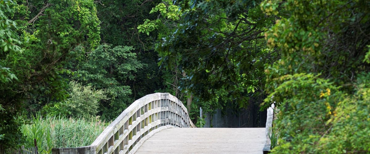 Wooden bridge at Sunken Meadow State Park surrounded by green trees