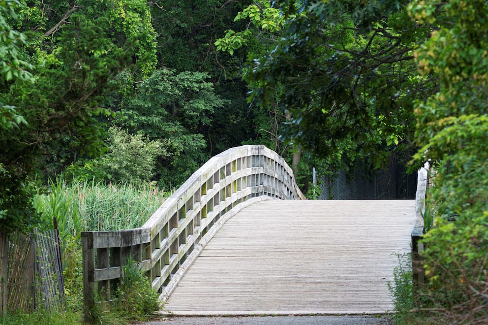 Eine Holzbrücke in einem bewaldeten Gebiet.