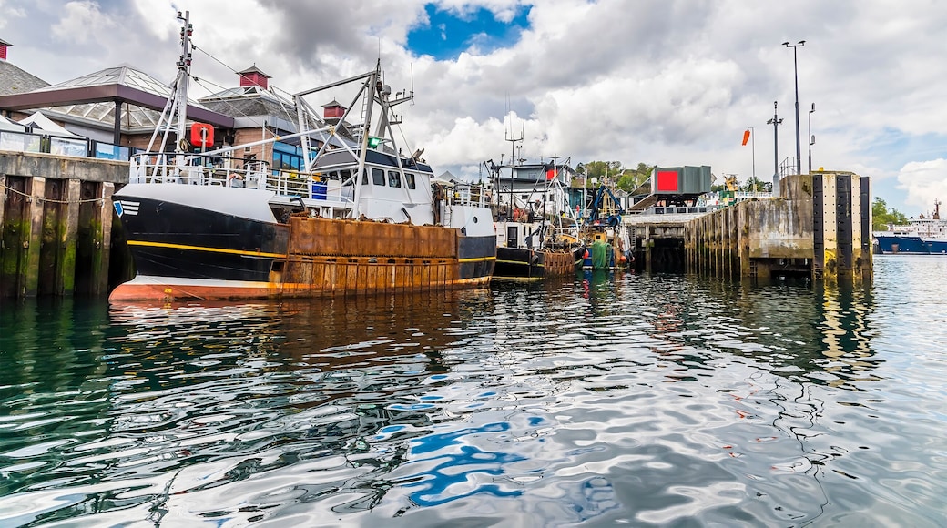 A view of the port and ferry terminal at Oban, Scotland on a summers day