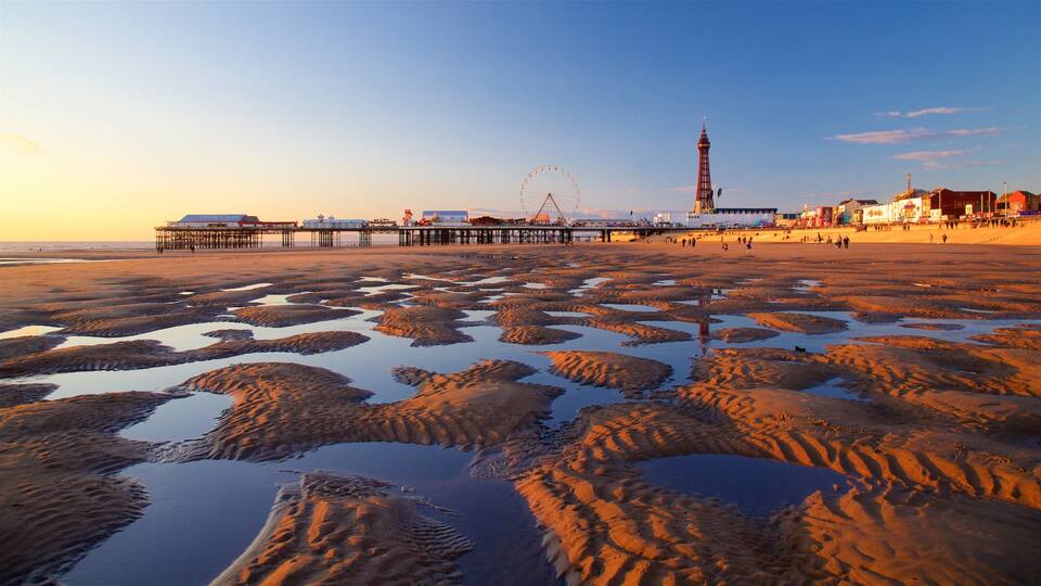 A beach with a pier, a Ferris wheel, and a tall tower.