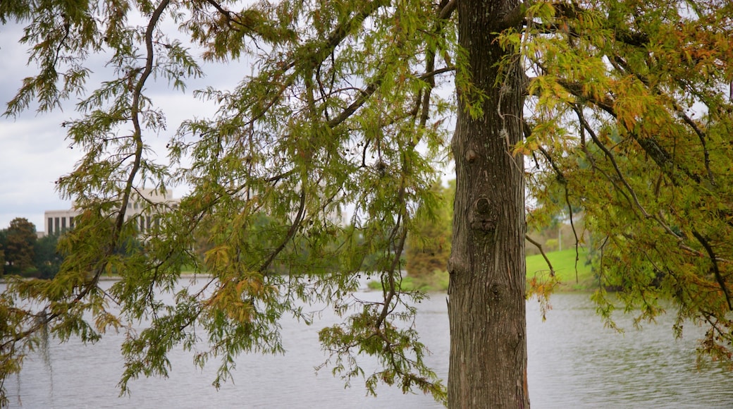 Arsenal Park fasiliteter samt dam