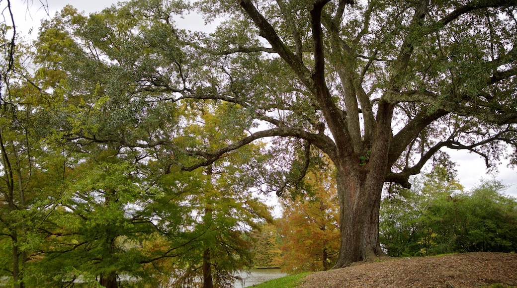 Arsenal Park som inkluderer hage